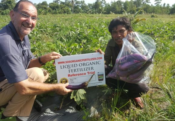 Reference Trial – Papar Vegetables Farm
