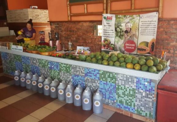 SOS organic liquid fertilizer testimony for papaya